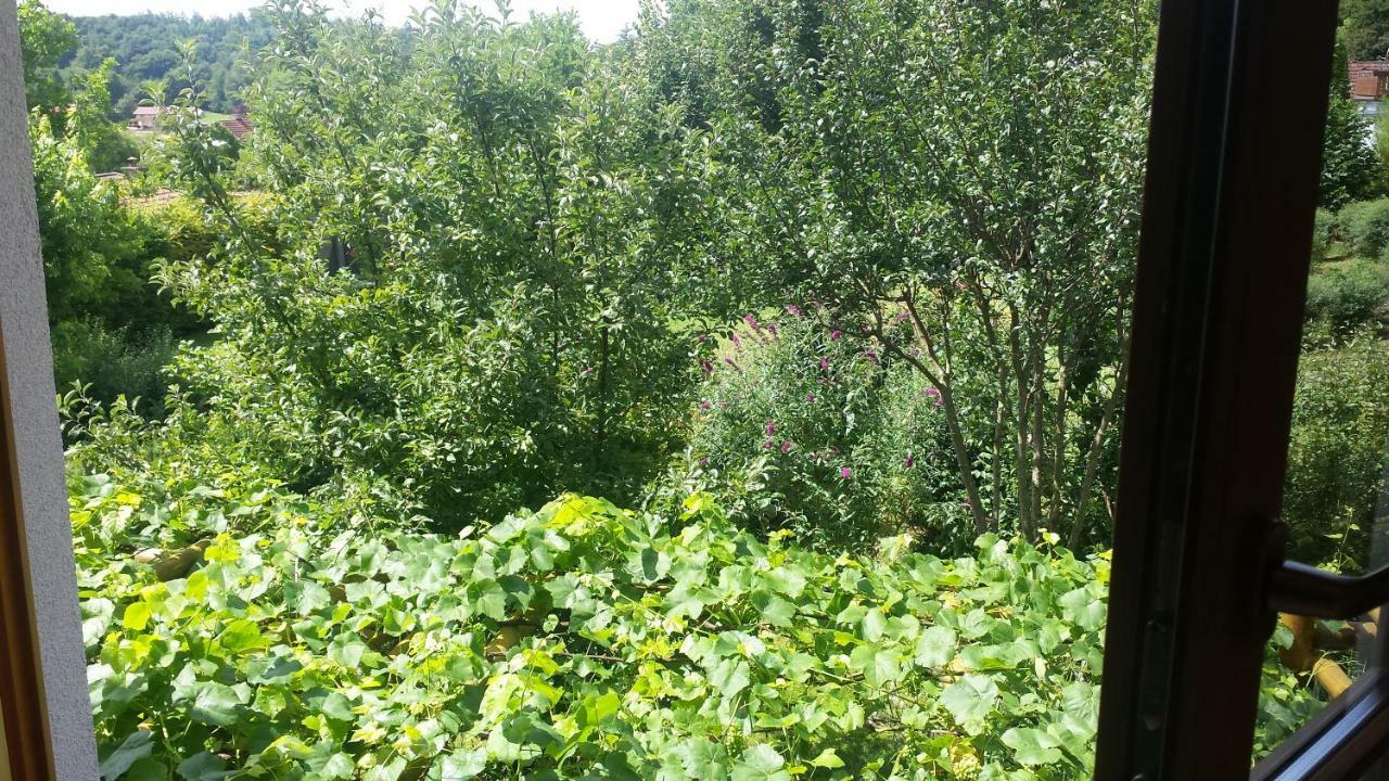 Gastezimmer Nahe Wesslinger See Eksteriør bilde